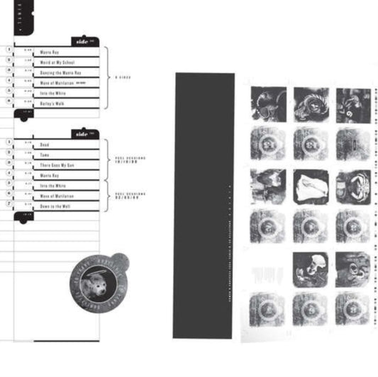 Pixies - Doolittle 25: B-Sides, Peel Sessions and Demos (25th Anniversary) - 2LP