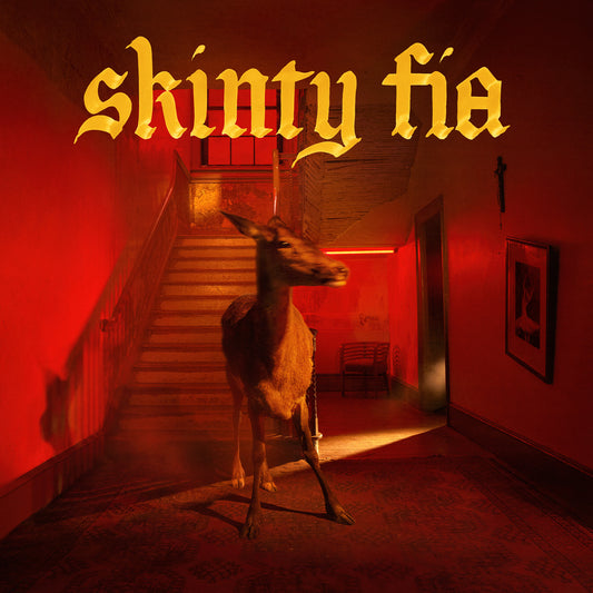 Fontaines D.C. - Skinty Fia - Deluxe - 2 LP