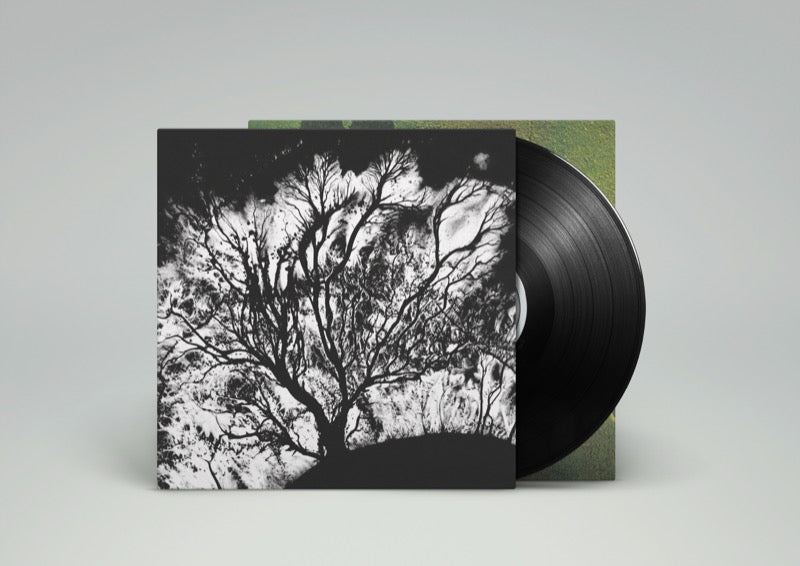 Dead Can Dance - The Serpent's Egg (2017 LP Pressing) - LP