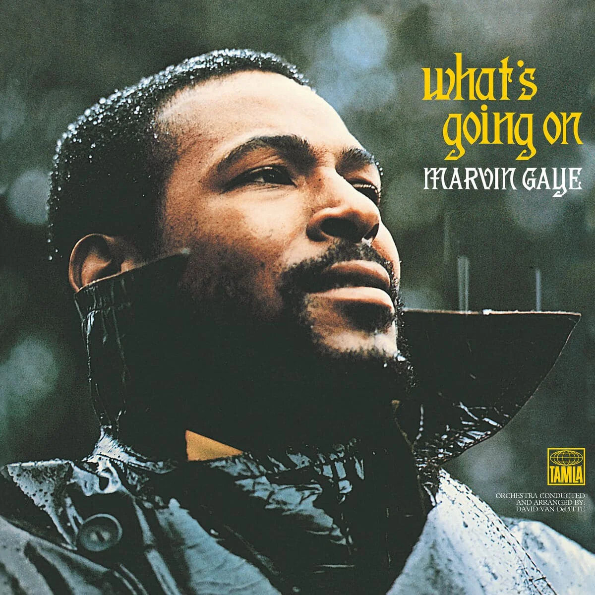 Marvin Gaye - Whats Going On (Back To Black Vinyl) - LP