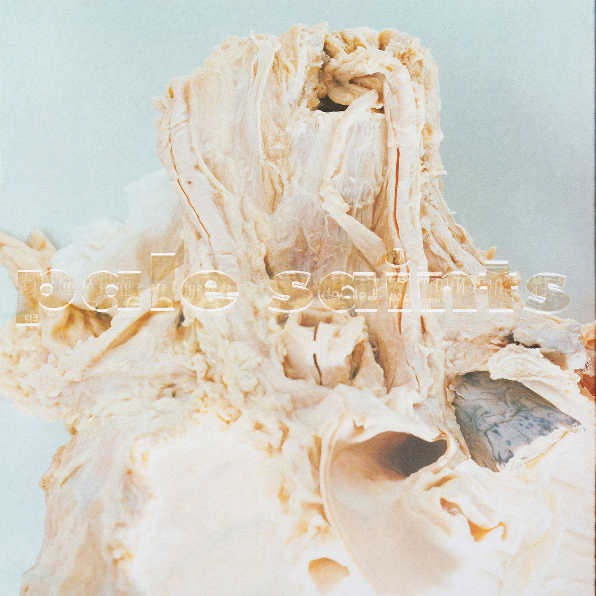 Pale Saints – In Ribbons (30th Anniversary Edition) - LP