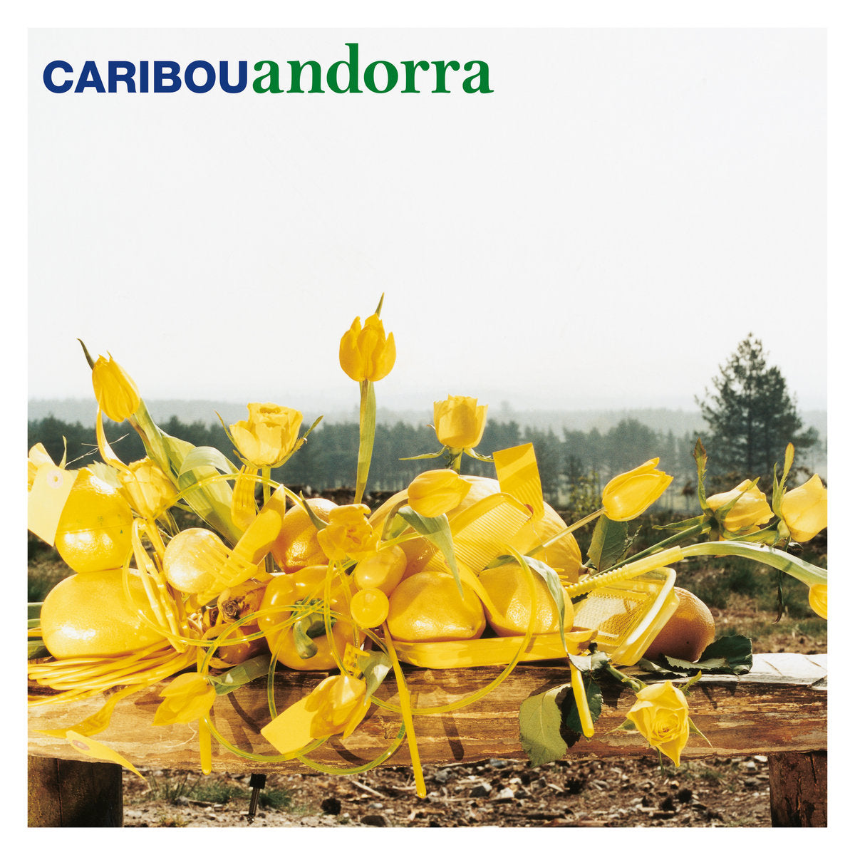 Caribou - Andorra (15th Anniversary Edition) - LP