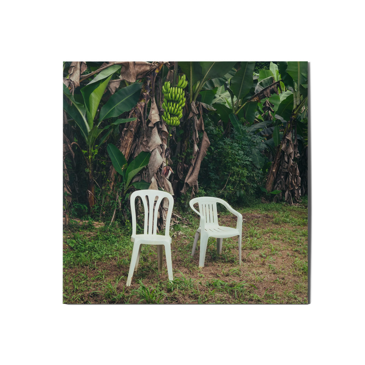 Bad Bunny - Debi Tirar Mas Fotos - 2LP - Gramofonik