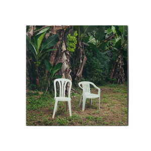 Bad Bunny - Debi Tirar Mas Fotos - 2LP - Gramofonik