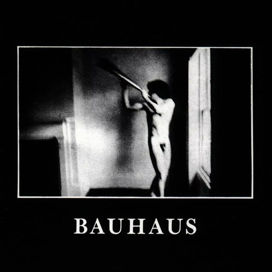 Bauhaus – In the Flat Field – LP