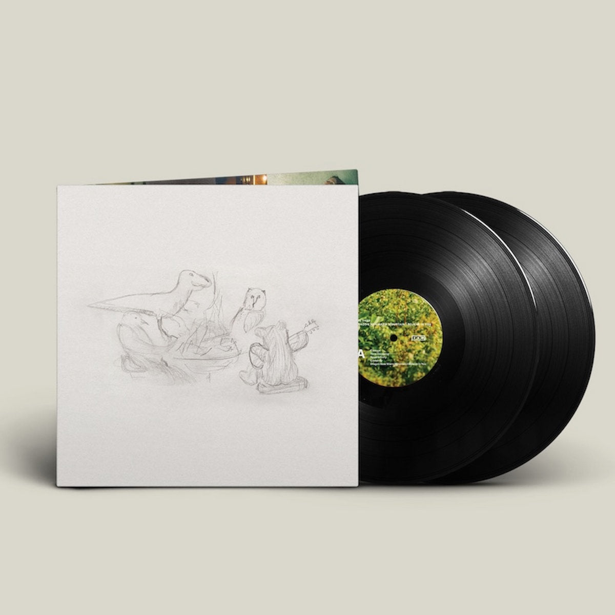 Big Thief - Dragon New Warm Mountain I Believe in You - 2LP - Gramofonik
