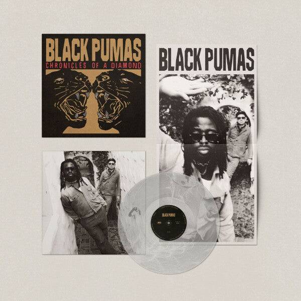 Black Pumas album packaging with cover and vinyl record on a light gray background