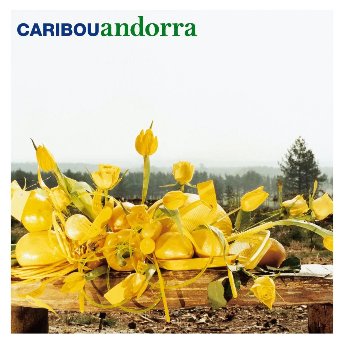 Caribou - Andorra (15th Anniversary Edition) - LP