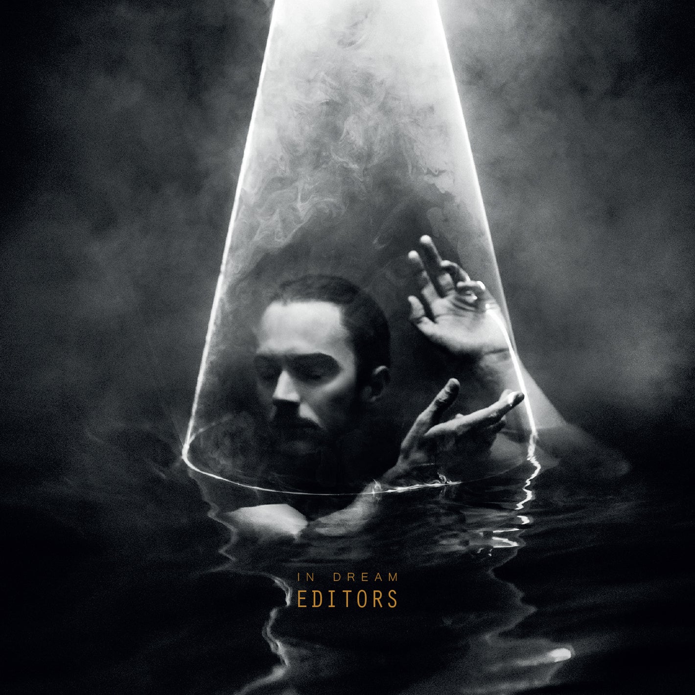 Editors - In Dream - LP - Gramofonik