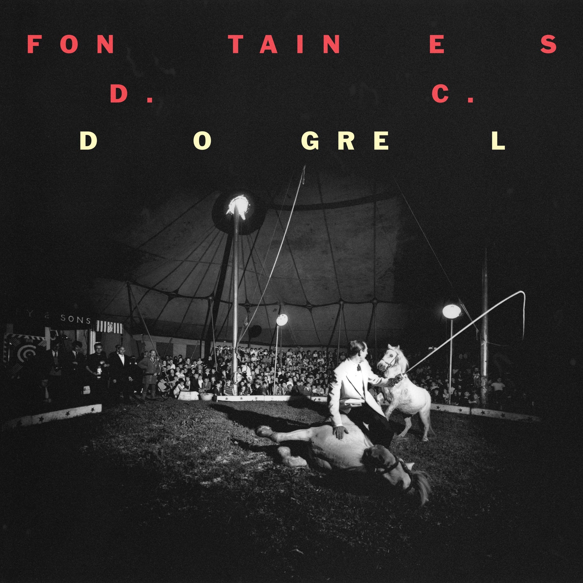 Fontaines D.C. - Dogrel - LP - Gramofonik