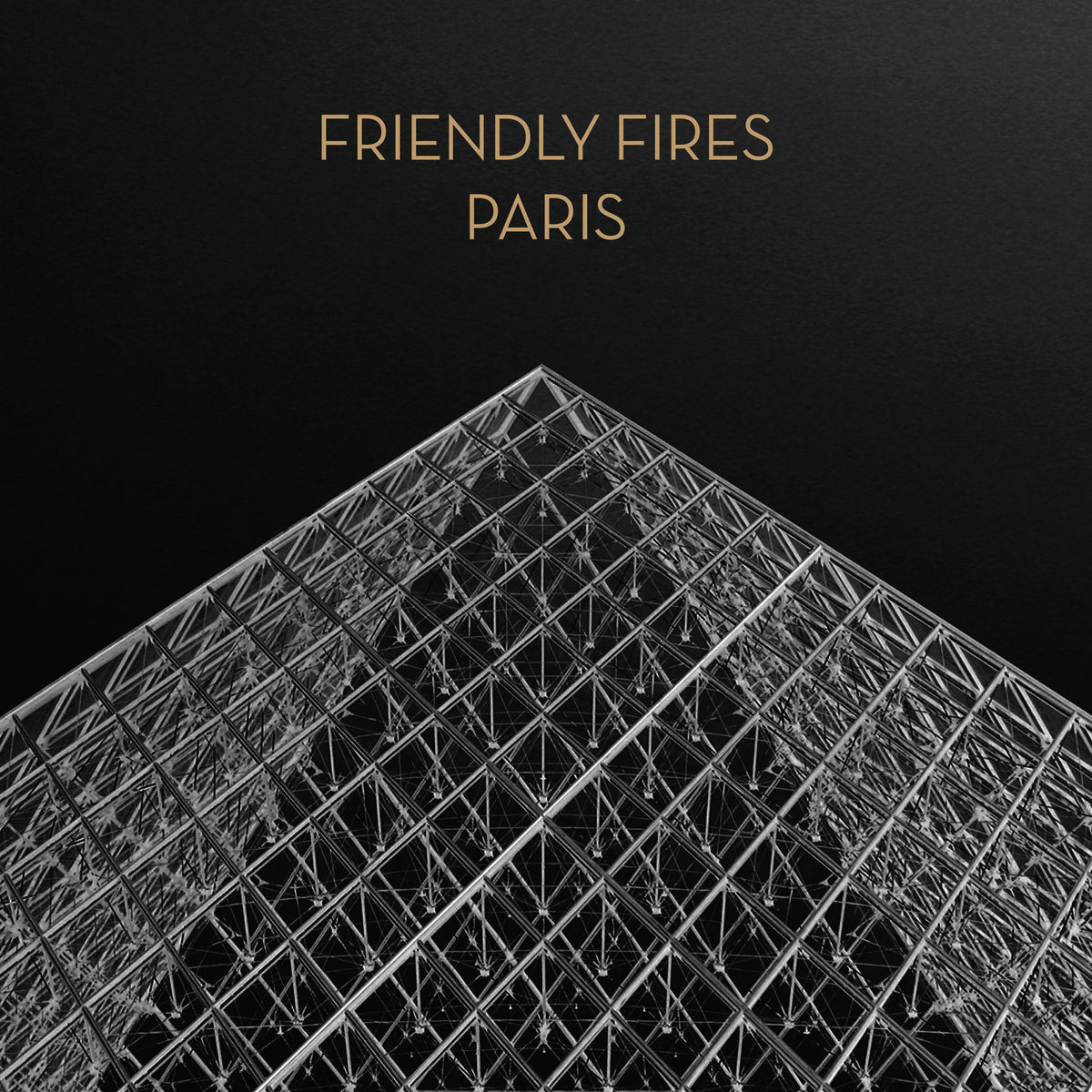 Friendly Fires - Paris 12” - LP - Gramofonik