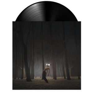 Gramofonik Geese vinyl LP record featuring album cover artwork, ready for playback on a turntable.
