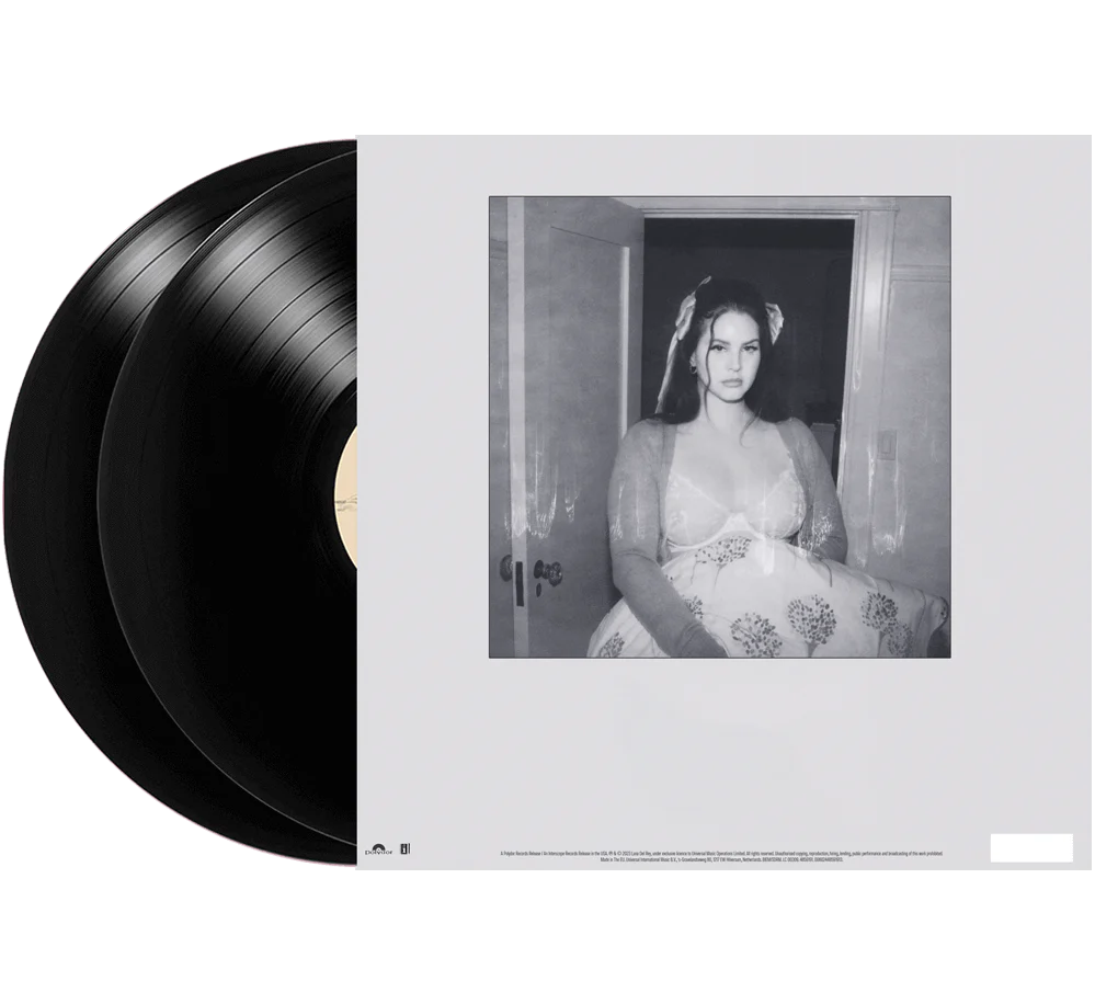 Lana Del Rey - Did you know that there's a tunnel under Ocean Blvd - 2LP - Gramofonik