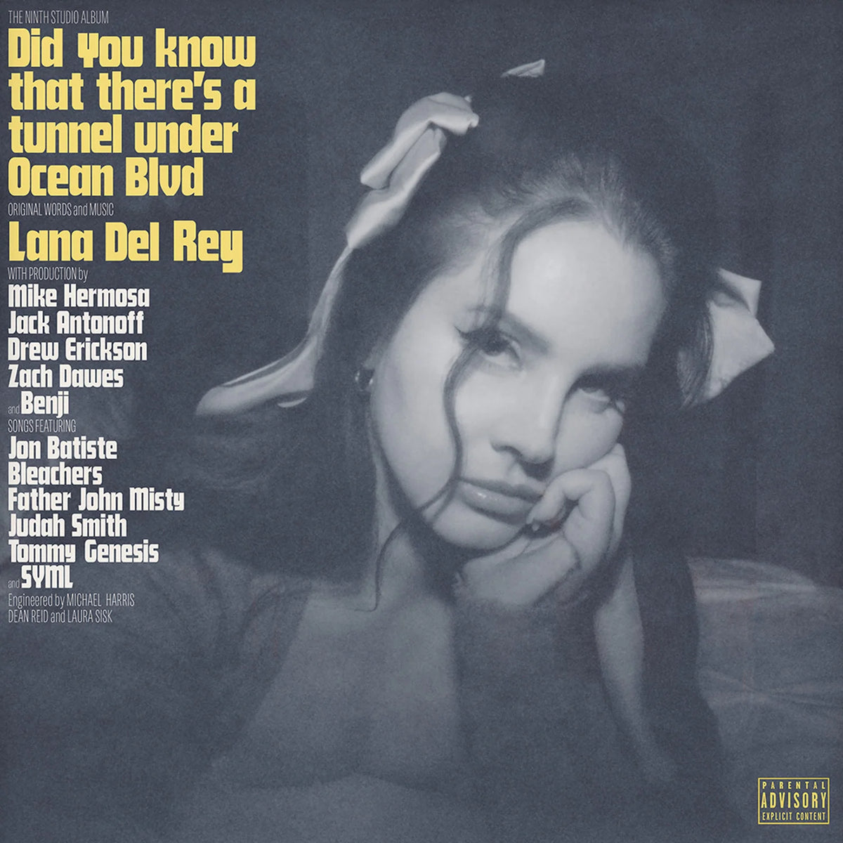 Lana Del Rey - Did you know that there's a tunnel under Ocean Blvd - 2LP - Gramofonik