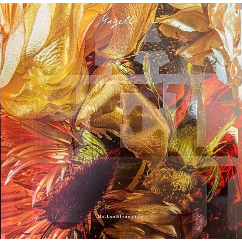Mr.Lee & Ivanseky - Magelli - LP