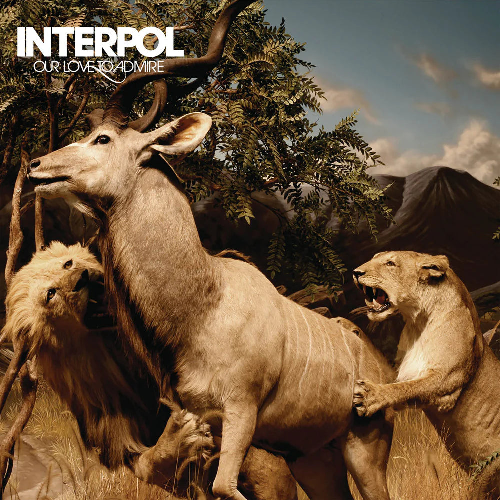 Interpol - Our Love To Admire - 2LP