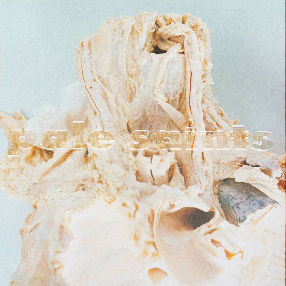 Pale Saints – In Ribbons (30th Anniversary Edition) - LP - Gramofonik