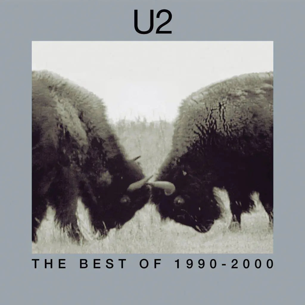 U2 - The Best Of 1990-2000 (Remastered 2018) - 2LP - Gramofonik